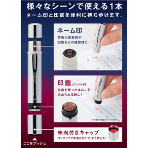 シヤチハタ ネームデュオ メールオーダー式 パールブルー F497295-XL-D2/MO-イメージ3