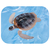 タカラトミー アニア AS-20 アオウミガメ親子(水に浮くVer．) ｱﾆｱAS20ｱｵｳﾐｶﾞﾒｵﾔｺﾐｽﾞﾆｳｸVE-イメージ5