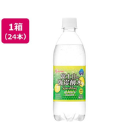 アイリスオーヤマ 富士山の強炭酸水 グレープフルーツ 500mL 24本 FCJ383K