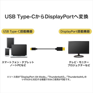 ホーリック USB Type C→Displayport変換ケーブル(3m) ブラック UCDP30-761BB-イメージ2