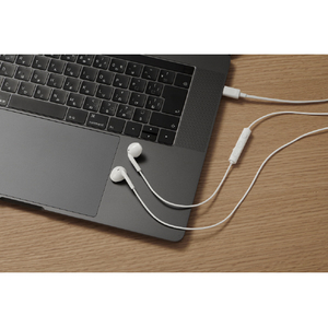JVCケンウッド リモコン付きイヤフォン ホワイト HA-FR17UC-W-イメージ2