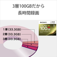 SONY 20BNE3VEPS2 録画用 100GB(3層) 2倍速 BD-RE XL書換え型