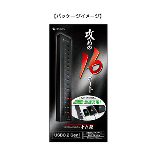 センチュリー USB3．2 Gen1 Hub名人 十六段 CHM-U3P16V2-イメージ7