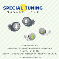 AVIOT TE-V1R-TP3 トゥルーワイヤレスイヤフォン【新テニスの王子様