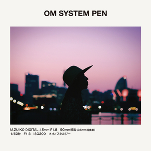 OM SYSTEM PEN 14-42mm F3．5-5．6 III レンズキット SLV シルバー OMSYSTEMPENLKSLV-イメージ11