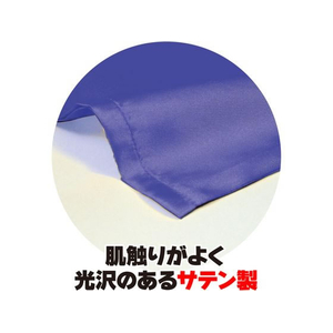 アーテック サテン大旗 φ12mm コバルトブルー 10本組 FCE436R-18429-イメージ4