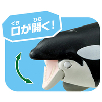 タカラトミー ｱﾆｱAL08ｼﾔﾁｵﾔｺﾐｽﾞﾆｳｸVER アニア AL-08 シャチ親子(水に