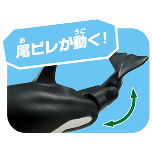 タカラトミー アニア AL-08 シャチ親子(水に浮くVer．) ｱﾆｱAL08ｼﾔﾁｵﾔｺﾐｽﾞﾆｳｸVER-イメージ3