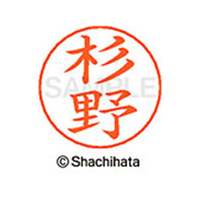 シヤチハタ ネームペン用ネーム シルバー 既製 杉野 FC47094-X-GPS-1323