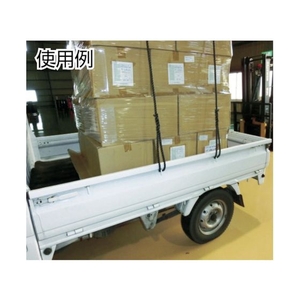 トラスコ中山 台付ポリプロピレンロープ 線径9mm×長さ5m FC840FX-3631770-イメージ2