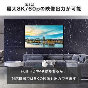 ホ－リック USB Type C ケーブル 2m USB4．0 UC20-765BB-イメージ5
