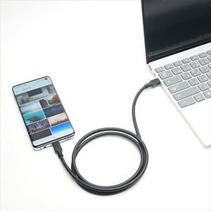 ホ－リック USB Type C ケーブル 2m USB4．0 UC20-765BB-イメージ9