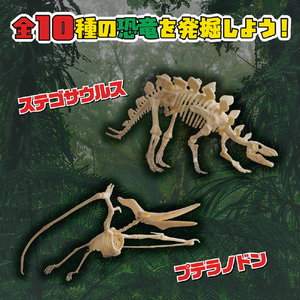 宝島社 掘って組み立て!恐竜の化石 発掘BOOK ﾎﾂﾃｸﾐﾀﾃｷﾖｳﾘﾕｳﾉｶｾｷﾊﾂｸﾂBOOK-イメージ3
