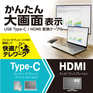 多摩電子工業 Type-C/HDMI変換ケーブル 2．0m TSK88K-イメージ3