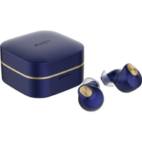 AVIOT TE-Q3R-BL トゥルーワイヤレスイヤホン ラピスブルー|エディオン