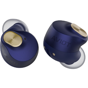 AVIOT トゥルーワイヤレスイヤホン ラピスブルー TE-Q3R-BL-イメージ6