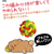 ドギーマン やっぱり!マカロニラバーボールS FCJ004K-イメージ4