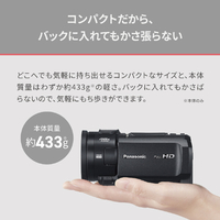 パナソニック HC-V900-K デジタルビデオカメラ ビーズブラック