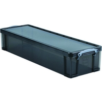 ＲＵＰ 収納ケース 22L スモーク FC840GV-1956725
