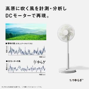 パナソニック DCリビング扇風機 ホワイト F-C337D-W-イメージ6