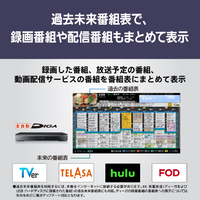 パナソニック TV-43W90A 43V型4K対応液晶テレビ VIERA