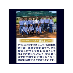 味の素ＡＧＦ ちょっと贅沢な珈琲店 ブラジル・ブレンド 230g FC717PW-イメージ3