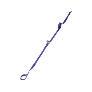 トラスコ中山 TRUSCO/ベルト荷締機 JIS規格品 35MM幅 509KG アイタイプ FC378ZY-2553768-イメージ1