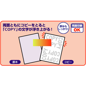 ヒサゴ コピー偽造予防用紙浮き文字A4両面100枚 F125876BP2110-イメージ4