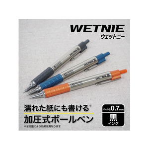 ゼブラ WETNIE ウェットニー ガンメタリック F384728-P-BA100-GBK-イメージ3