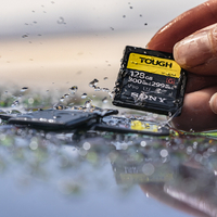 SONY SF-G128T SDカード(128GB) SF-Gシリーズ |エディオン公式通販