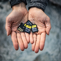 SONY SF-G128T SDカード(128GB) SF-Gシリーズ |エディオン公式通販