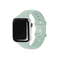 EGARDEN Apple Watch 41mm/40mm/38mm用SILICONE BAND ライトミント EGD21773AWGR