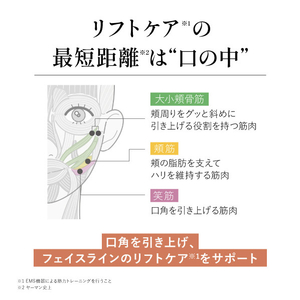 ヤーマン オーラルリフト YOCOL1B-イメージ10