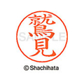 シヤチハタ ネームペン用ネーム シルバー 既製 鷲見 FC47105-X-GPS-1334