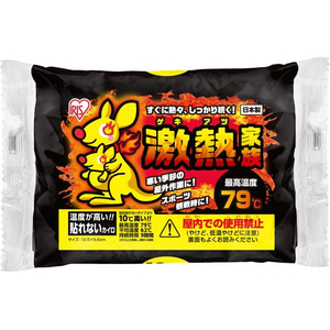 アイリスオーヤマ 激熱家族 貼れない レギュラー 10個入 FC579TB-イメージ1