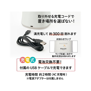 プラス 鉛筆削り 全自動 SASITEMI サシテミ アイボリー FCN5702-84019/FS-760-イメージ4