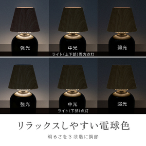 ZEPEAL 充電式ボトルライト ベージュ ZLZ-10JA-C-イメージ8