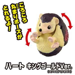 タカラトミー 冒険大陸 アニアキングダム ルッタとなかまたちセット(キングゴールドVer．) ｱﾆｱKDﾙﾂﾀﾄﾅｶﾏﾀﾁｾﾂﾄ-イメージ2