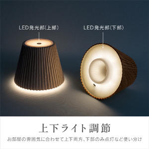 ZEPEAL 充電式ボトルライト ブラウン ZLZ-10JA-T-イメージ6