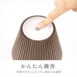 ZEPEAL 充電式ボトルライト ブラウン ZLZ-10JA-T-イメージ7