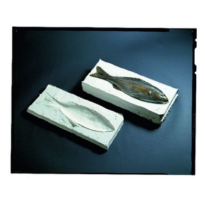 信越化学工業 一般型取り用 2液 1kg FC479FN-4230051-イメージ2