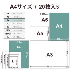 エレコム 写真用紙 印画紙Pro 厚手 A4サイズ 20枚 ホワイト EJK-PROA420-イメージ6