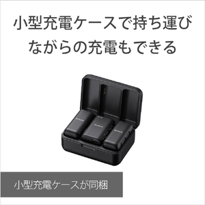 SONY ワイヤレスマイクロフォン ECM-W3-イメージ12