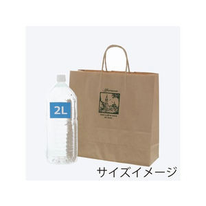 シモジマ 紙袋 25チャームバッグ 3才 アフタヌーン 50枚 FCN4194-003261497-イメージ5