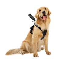 insta360 CINSBAVZ ペット用ハーネスマウント(Lサイズ) |エディオン