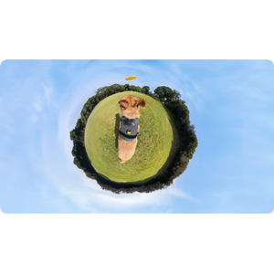 insta360 ペット用ハーネスマウント(Lサイズ) CINSBAVZ-イメージ13
