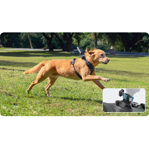 insta360 ペット用ハーネスマウント(Lサイズ) CINSBAVZ-イメージ15