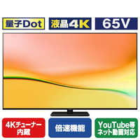 パナソニック 65V型4K対応液晶テレビ VIERA TV-65W95A