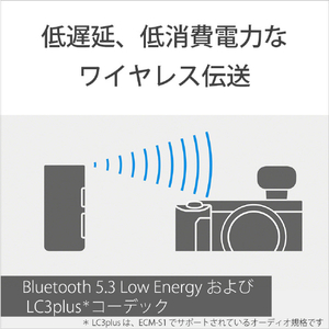 SONY ワイヤレスマイクロフォン ECM-W3S-イメージ3