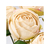 フランソワローズブッシュ #37 CREAM クリーム FC477SW-FM000061-037-イメージ3